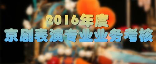 jb艹bb国家京剧院2016年度京剧表演专业业务考...